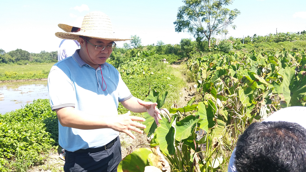 国际天子(中国区) - 官方网站