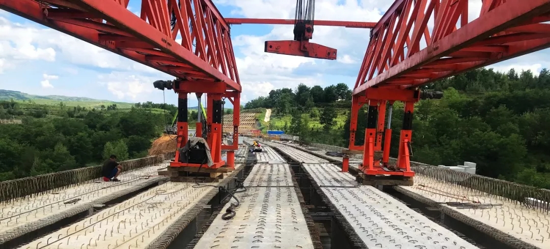 国际天子(中国区) - 官方网站