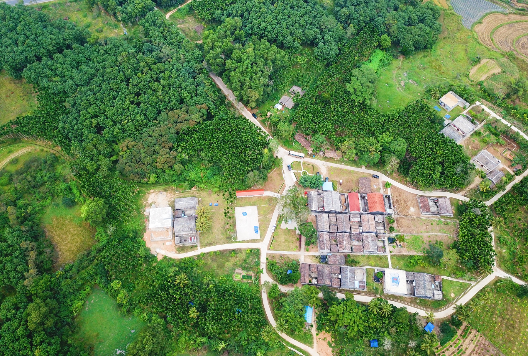 国际天子(中国区) - 官方网站