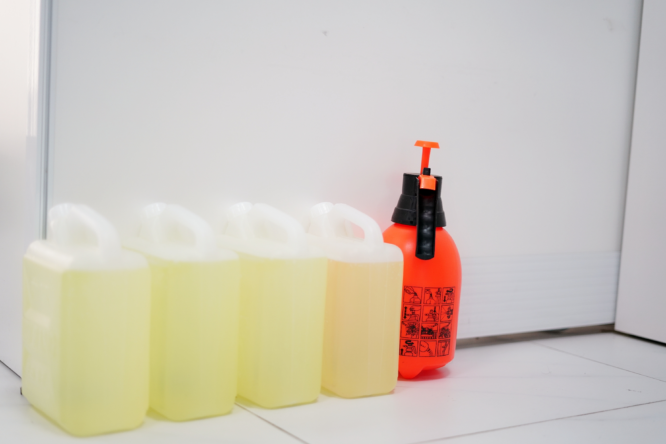 国际天子(中国区) - 官方网站