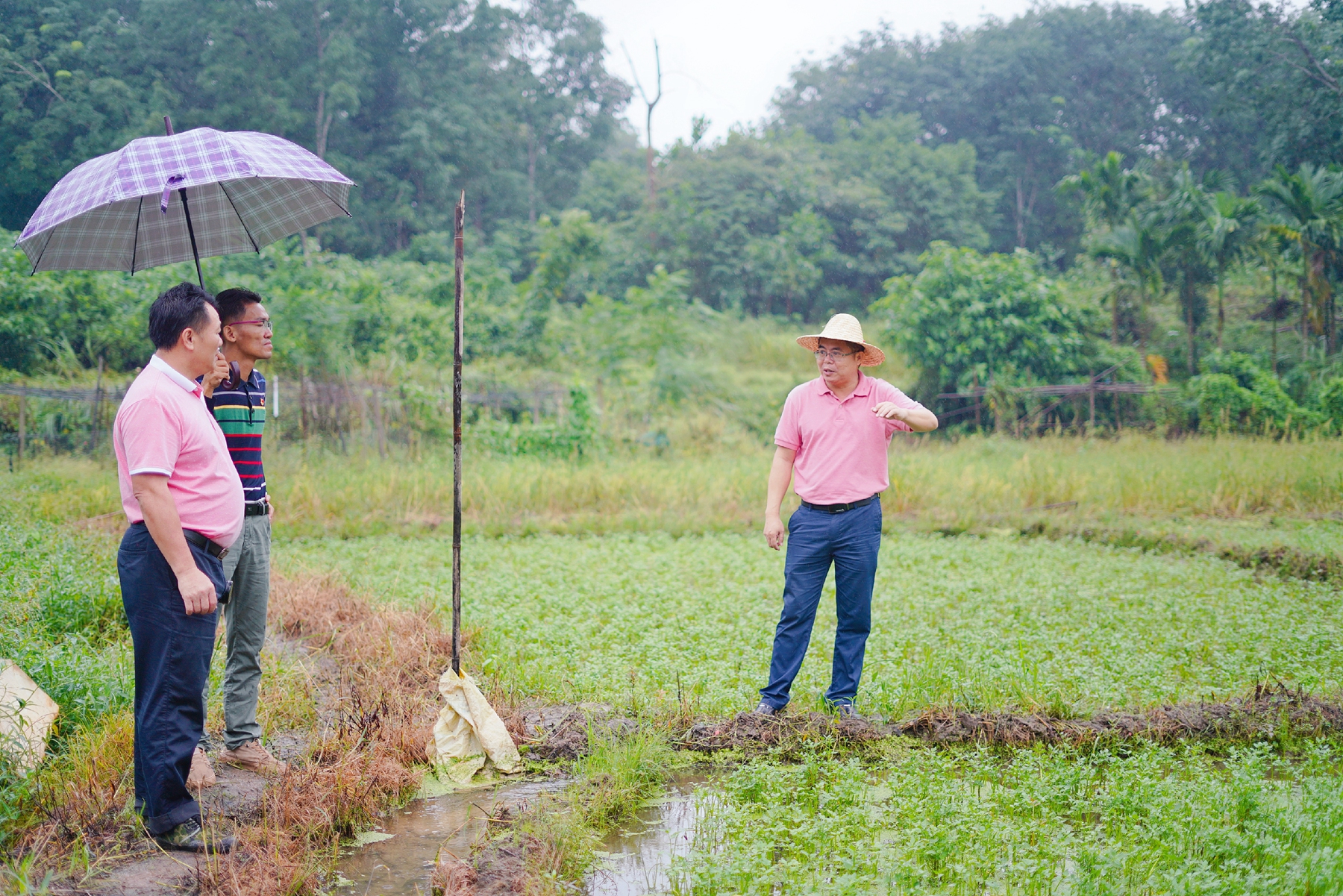 国际天子(中国区) - 官方网站