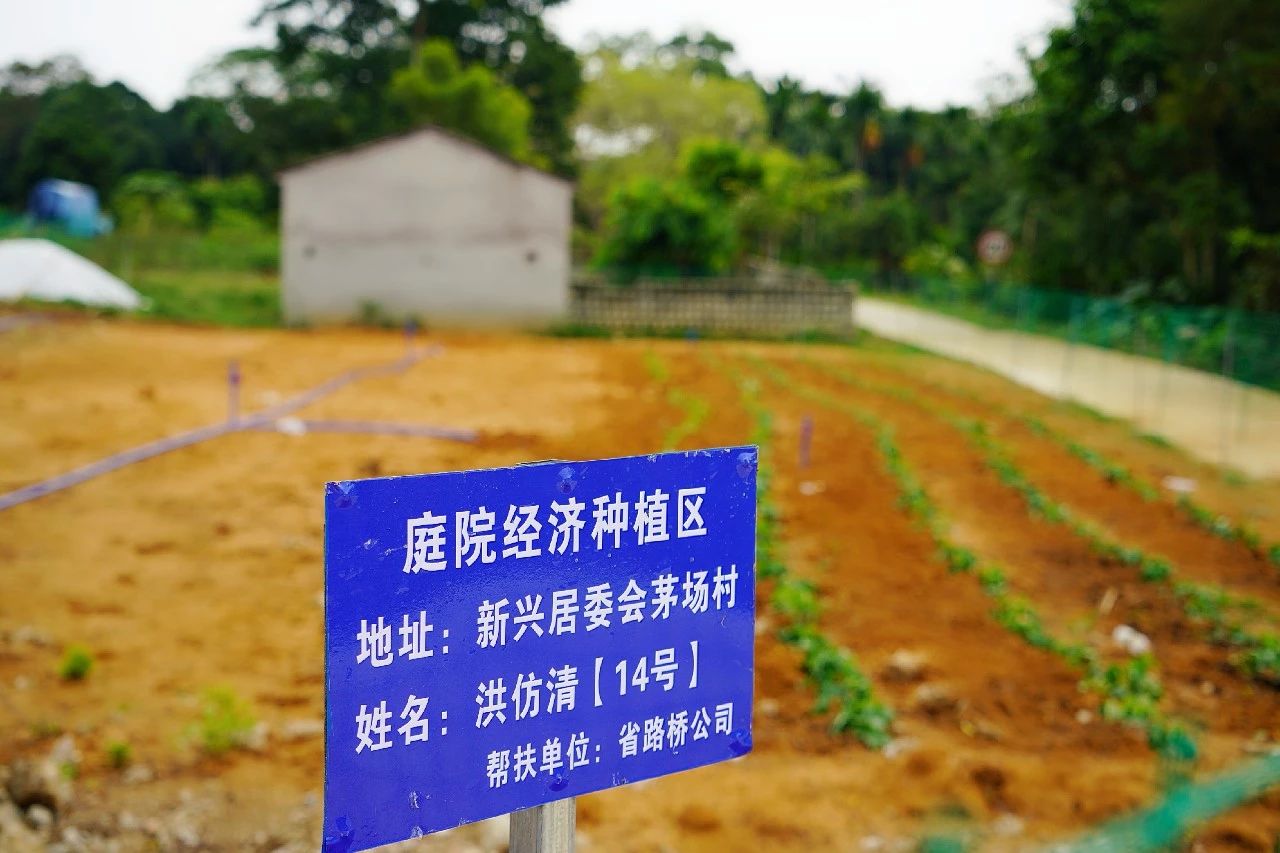 国际天子(中国区) - 官方网站
