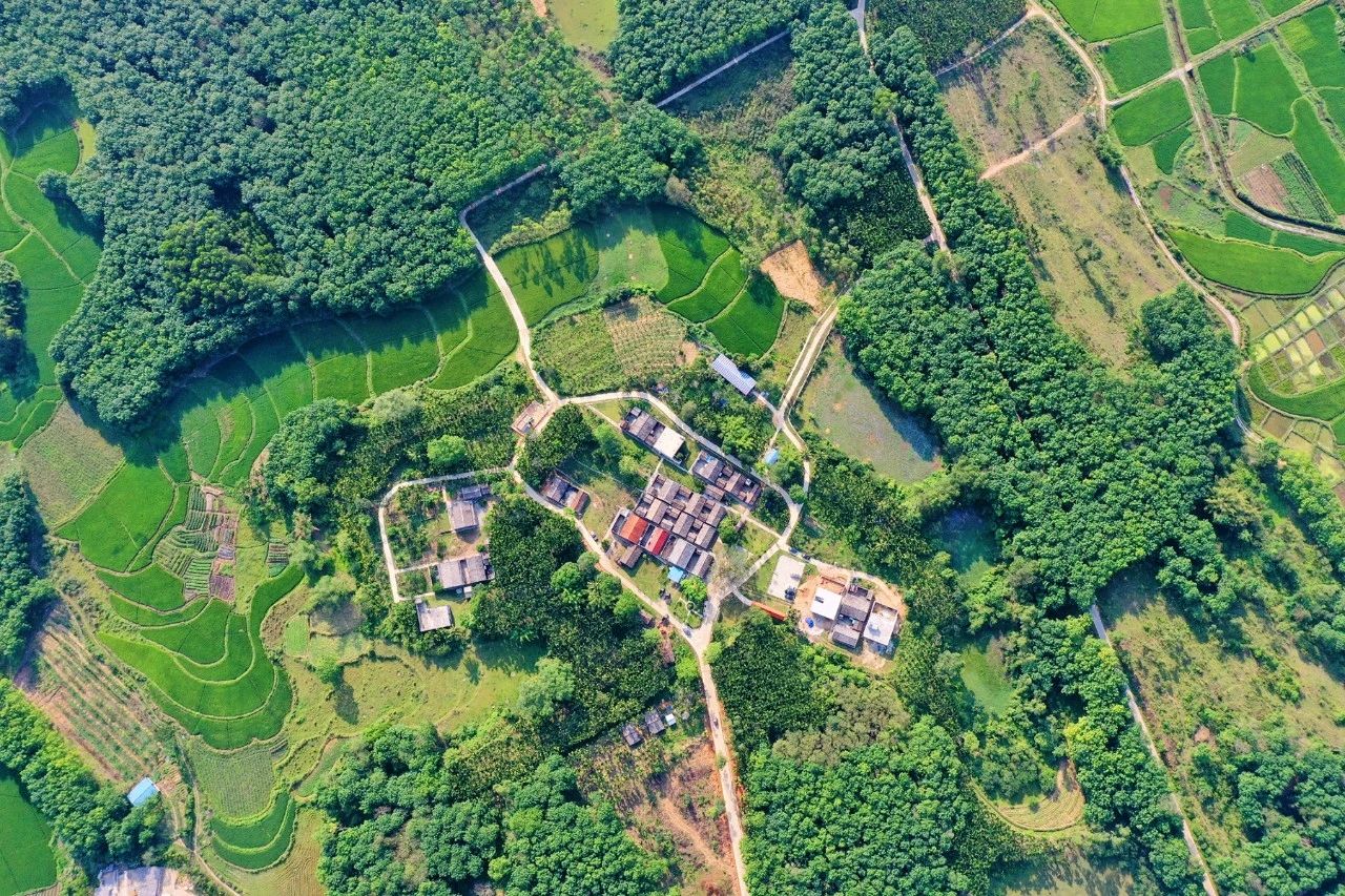 国际天子(中国区) - 官方网站