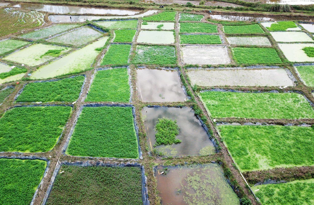 国际天子(中国区) - 官方网站