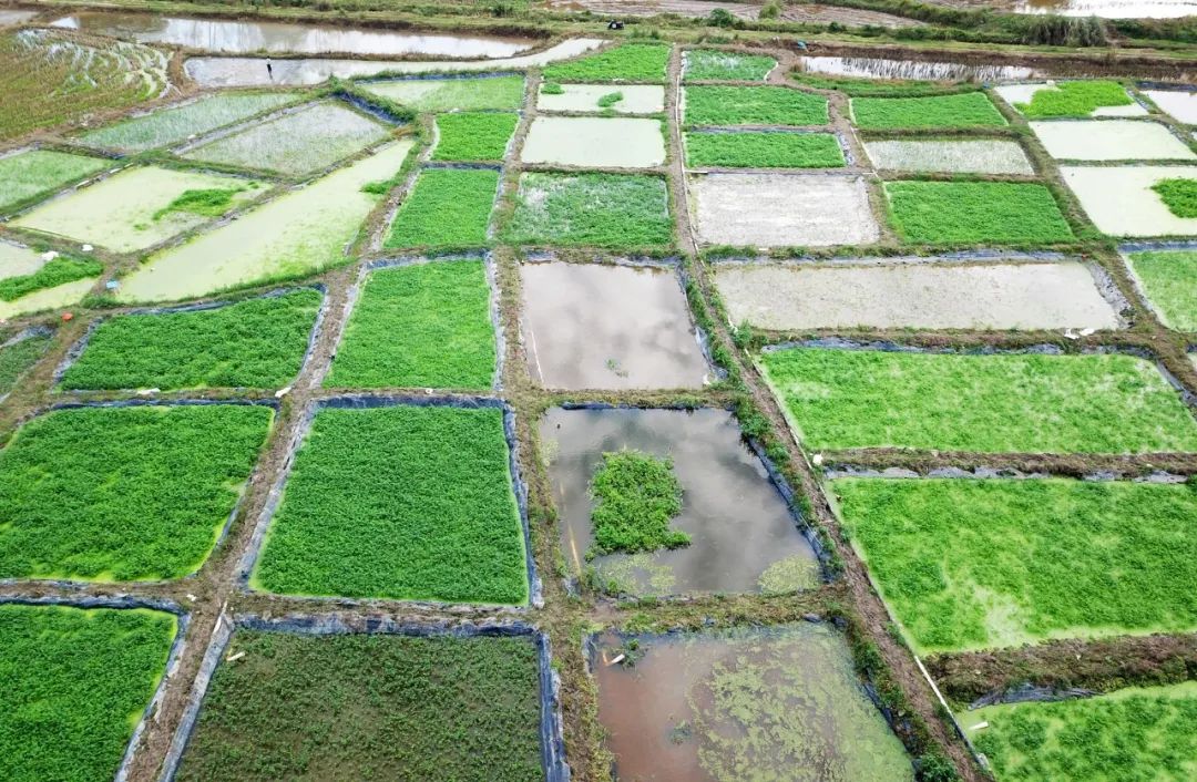 国际天子(中国区) - 官方网站