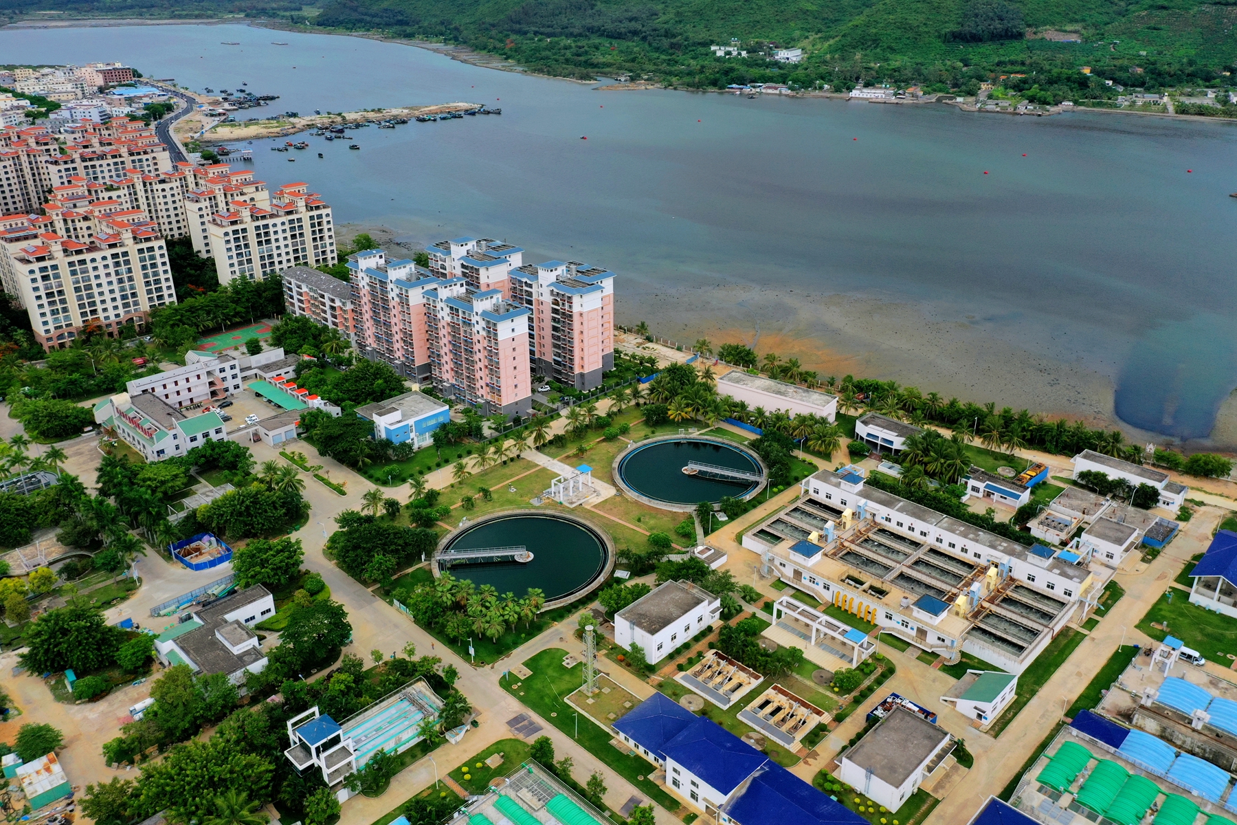 国际天子(中国区) - 官方网站